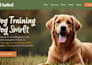 design squarespace dog training website pet behavior service website